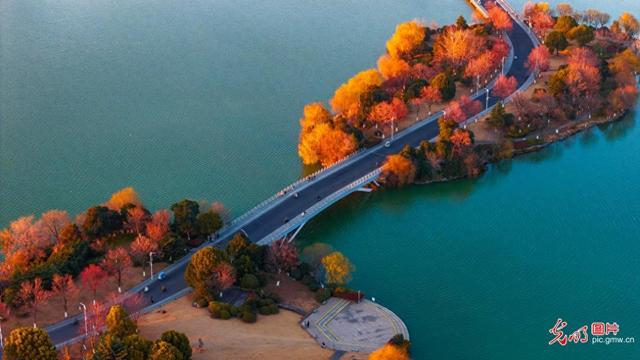 云龙湖冬景美如画