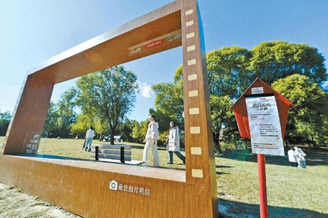 “秋日散步美学”何以触动年轻人？