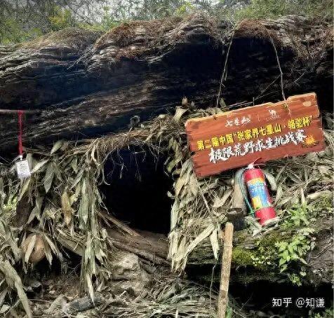 热议丨荒野求生5名选手血钾超标，这是哪些因素造成的？有何影响