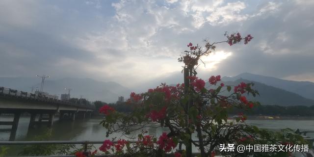 米易康养，相约暖阳