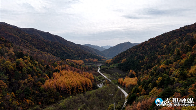 【东方微笑 多彩麦积】党川之秋：在麦积山林间，邂逅一场色彩与公路的交响