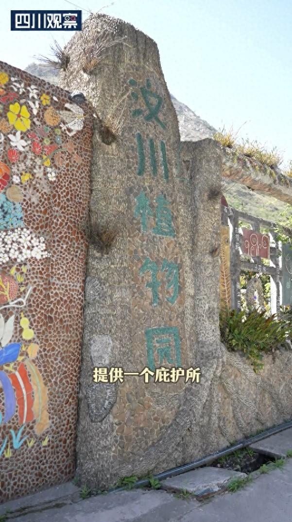 王国植物大战僵尸（世界地球日丨一对父子与6000平米植物王国的17年）