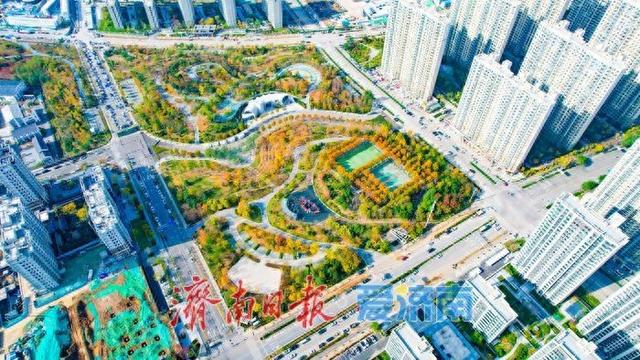 落叶铺锦景如画 济南望岳康体公园初冬限定美景上线