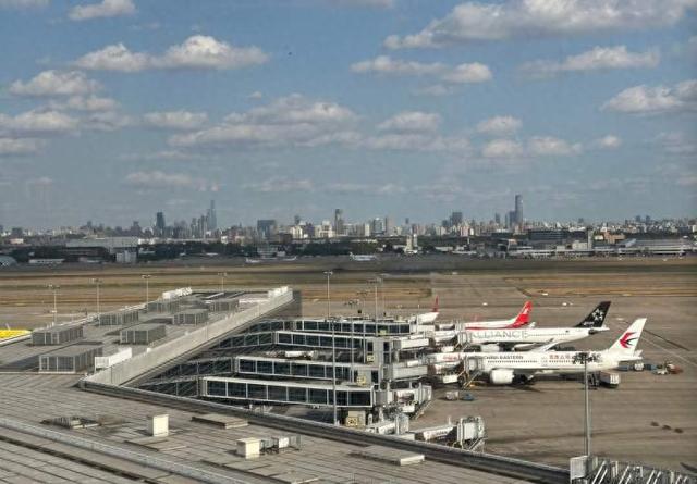 一杯冰水一张卡，一顶假发还有菜市场和相亲角，入境游客在上海“痛并快乐着”