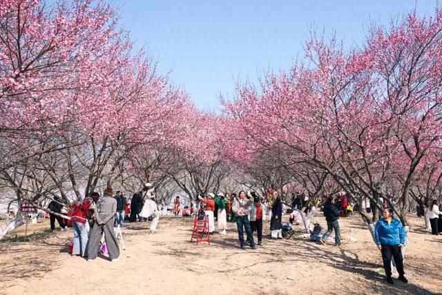 工作日人也多！武汉多地爆火，还有市民特意跨江赶来