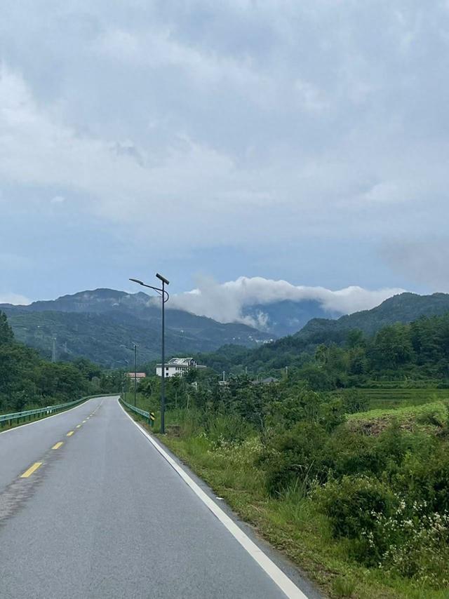 来新洲体验不一样的风景 一路向东，登高观鸟看江豚