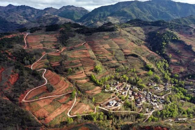米仓山深处 一崖丹霞红