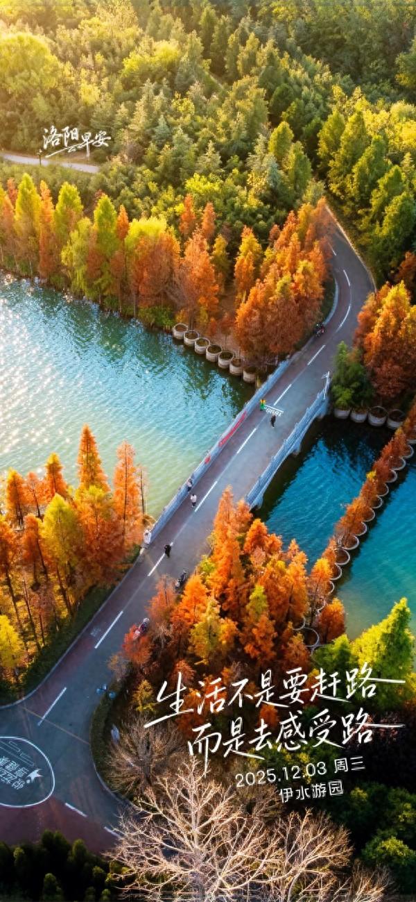 洛阳·早安|生活不是要赶路 而是去感受路