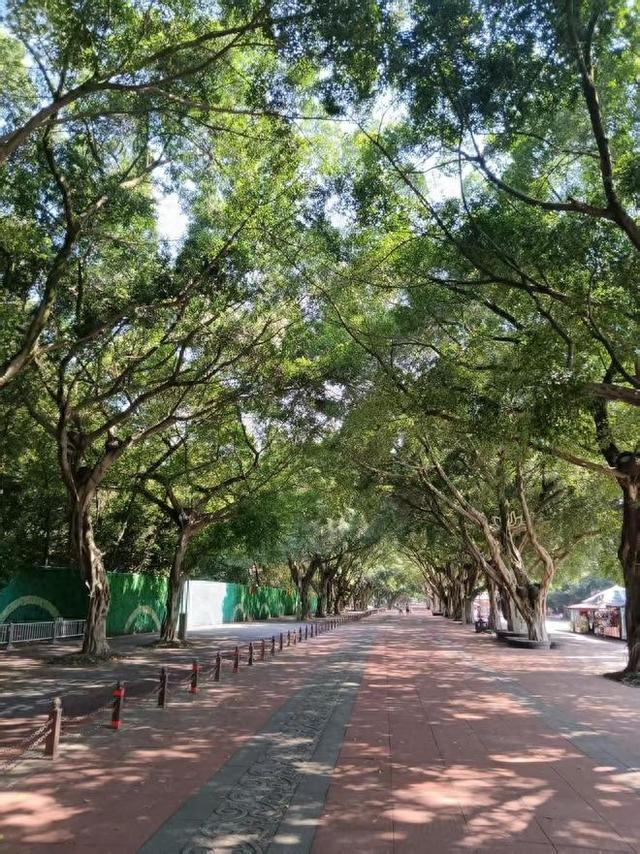 圆梦乐山：探秘乐山大佛的微笑与传奇