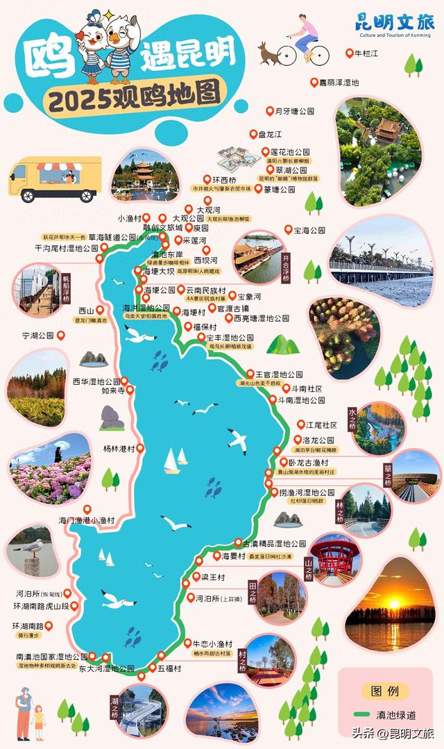2025最新观鸥地图：这些地方“鸥”气值MAX，拍照直接封神！