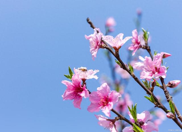 用不是就是造句不是就是怎么造句（不是就是怎么造句举例说明）