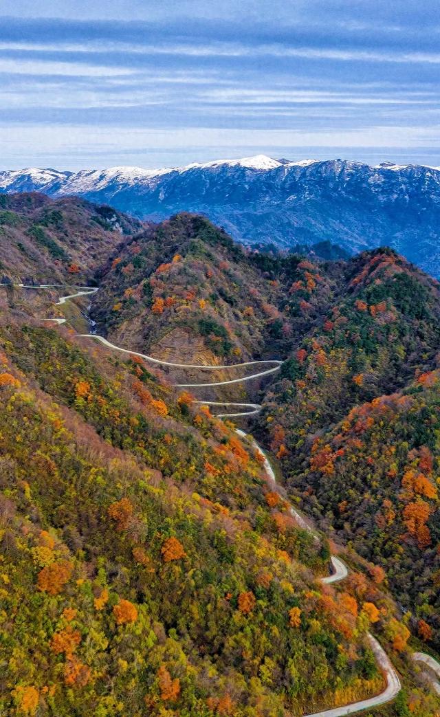 赏秋正当时!自驾来汉中,赴一场秋日视觉盛宴~