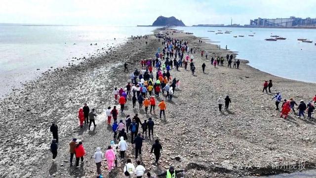 山海织景 四季可游 绘就环渤海滨海旅游新标杆