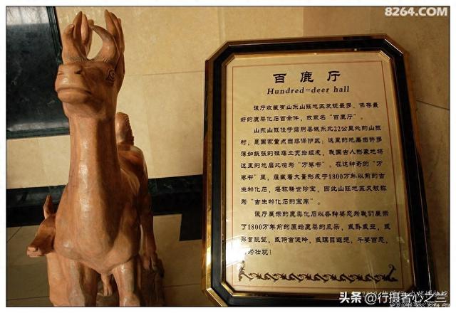 山东行游影记（28）—平邑天宇自然博物馆（三）
