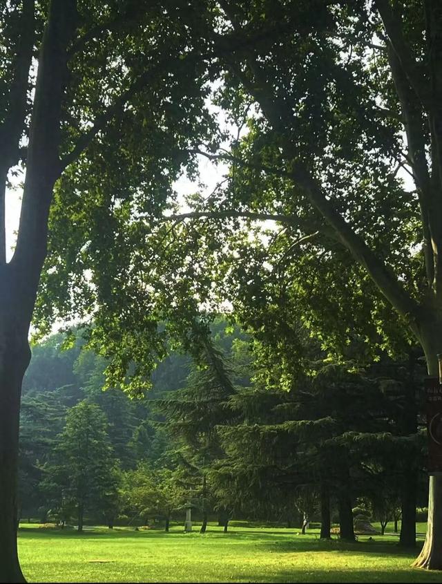 全部免费！郑州地铁直达的7大赏秋圣地！