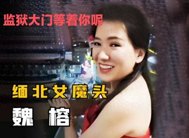 天网已收，魏榕的“好日子”到头了