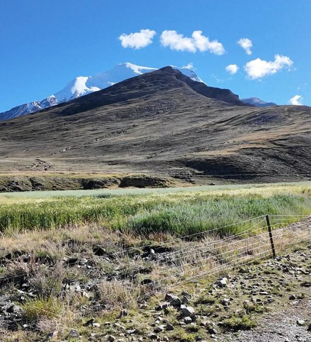 在蔡国强“升龙”的雪山脚下，我和当地人一起捡垃圾