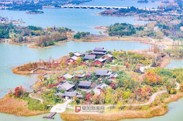 阜阳：秋景入画