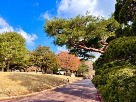 山东有座比青岛还宜居的城市，环境美空气好，干净舒服得有点过分