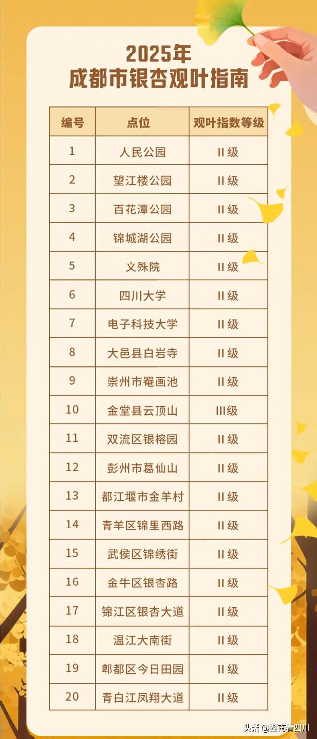 成都银杏迎来年度高光时刻!2025年官方指南出炉,20处秘境正在霸屏