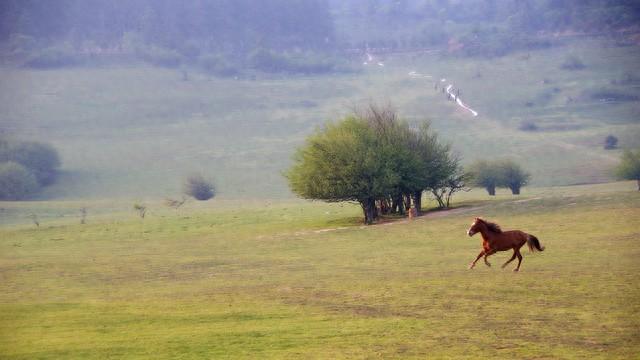 给失控的AI“拉缰绳”，中国、美国、欧洲一起出手！
