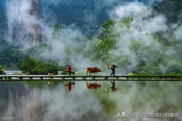 浙江旅行：20-50 岁无目的地必存！7 天玩遍古镇海岛避坑攻略