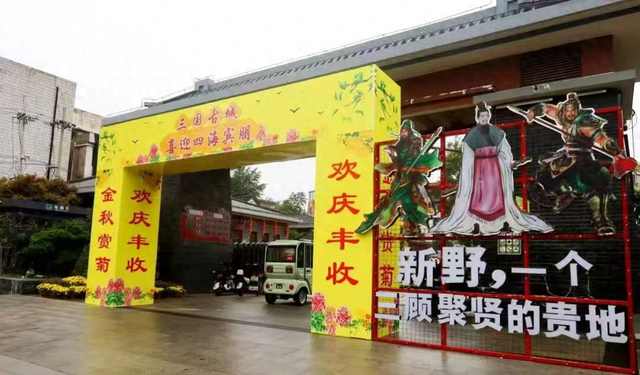 河南新野：菊花竞艳汉桑城