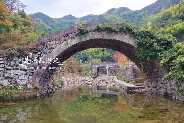 宁波余姚的夫妻银杏又火了，树边的溪上休闲空间超美，好拍又好玩