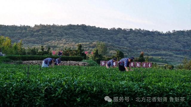 吃喝玩乐一站式！这个周末就来五莲这里！