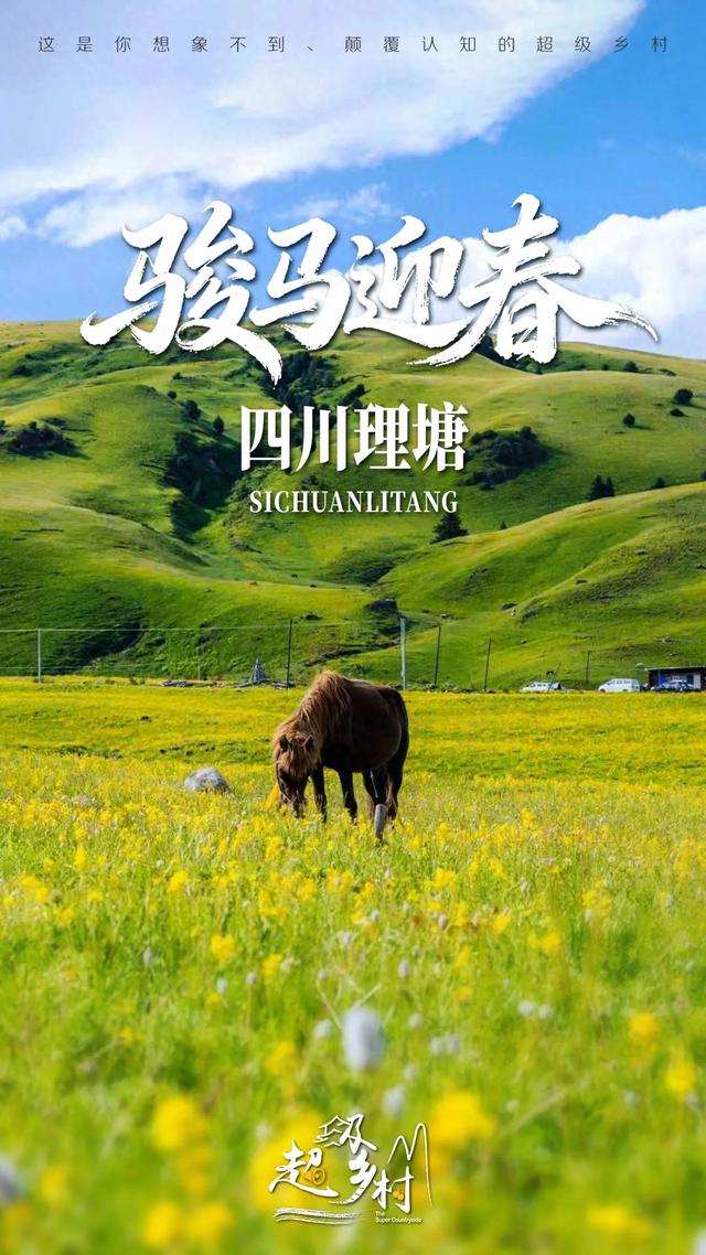 在海拔4000米的川西草原策马,体验理塘藏马,解锁高原浪漫新玩法