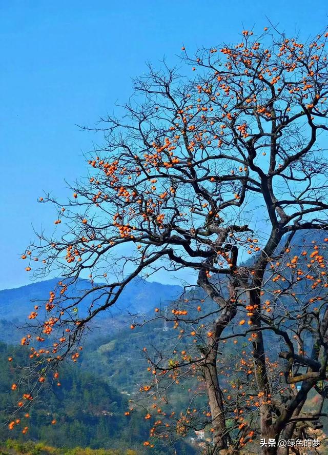 都说寻梦是水中捞月的徒劳,可我们还是喜欢去追寻梦中的当年。