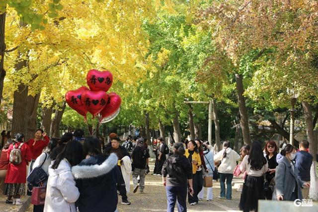 缓扫一片秋，赴青岛的五彩之约