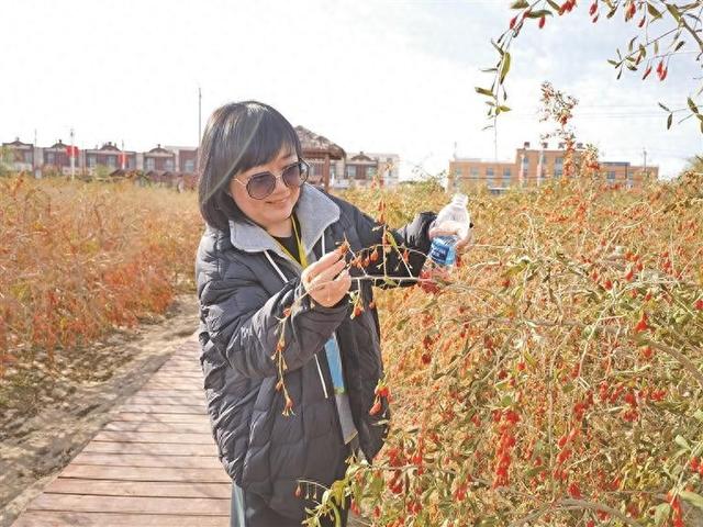 让更多人聆听海西的时代长歌 行走海西，见证传承与新生的交响