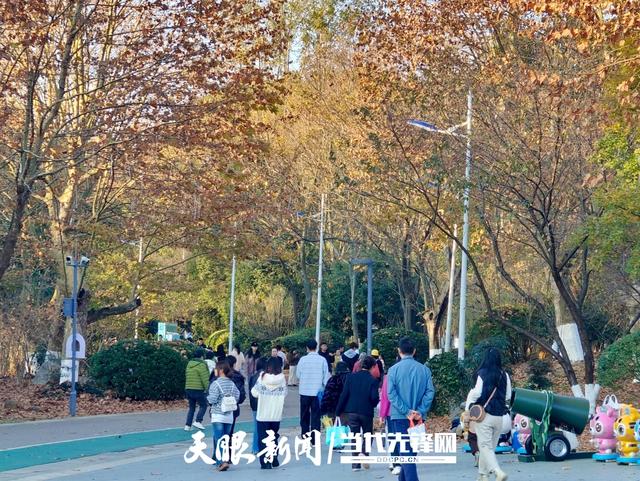 在贵州，深秋这抹“金黄”跃动着消费热度