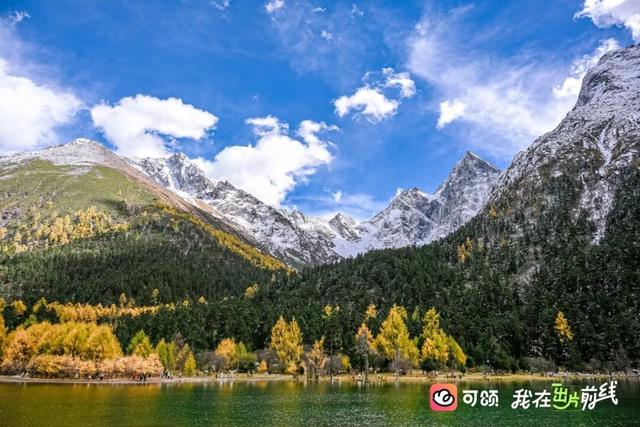 打卡彩林“天花板”！毕棚沟x可颂采风活动圆满结束！