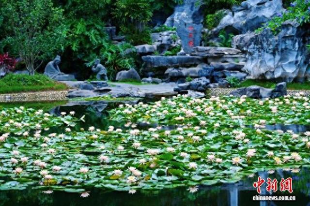 广西南宁青秀山举办金秋登高节 主题线路串联山水引客