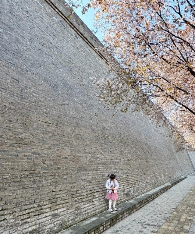 西安的春天终于来啦！暖阳洒在古城墙上，风