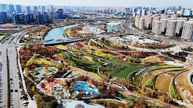青岛人家门口的“生态园”：一河秋景，满园生机
