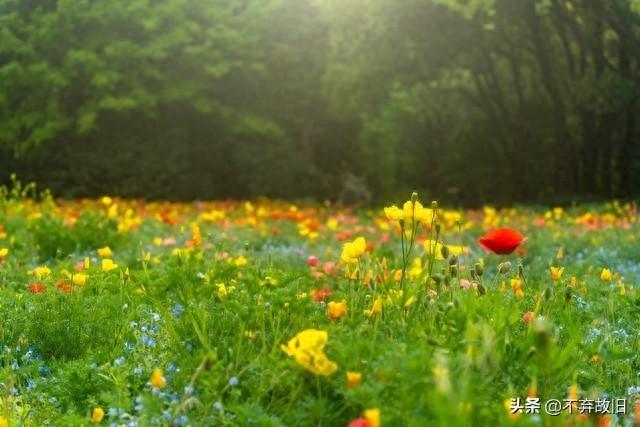生命在于运动，贵在坚持