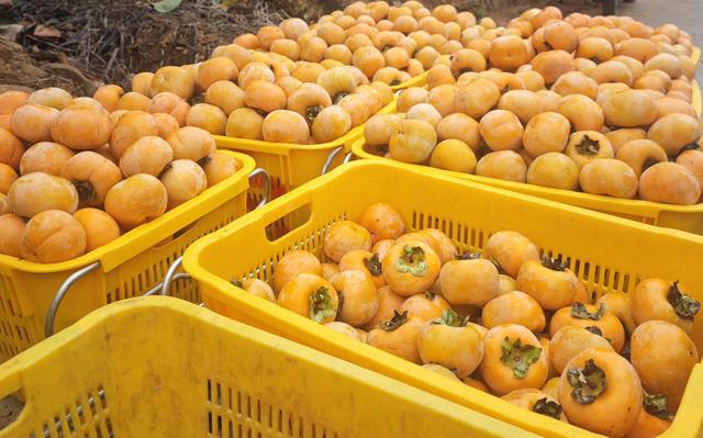 桂北秋天行之桂林山水