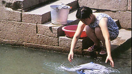 河埠上的江南密码