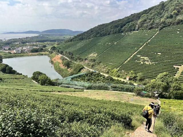 太野了！莫大意！