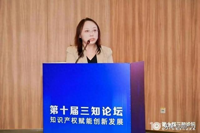 第十届三知论坛专题一：新技术背景下知识产权保护的挑战与应对