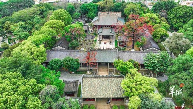 广州黄埔：“黄埔云帆”掀热潮，共赴千年海丝之约