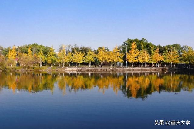 重大限定皮肤上新,超出片!🤳