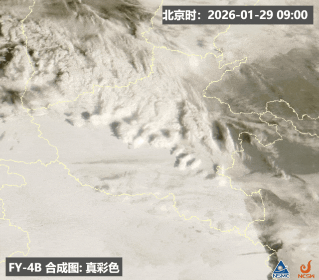 中雪！大雪！暴雪！今天下午到夜里，河南雨雪“速战速决	”