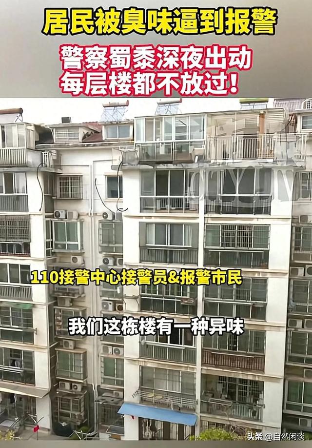 南昌一居民楼发出奇怪恶臭，有人怀疑是尸臭，排查结果让人意外