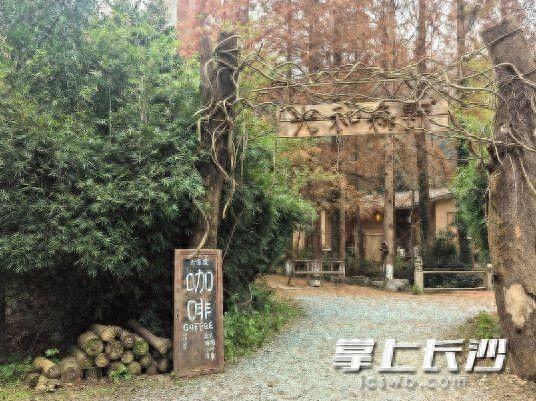 冬季“暖经济“升温，长沙县路口镇“温泉+森林“康养游受热捧