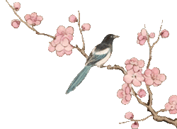 腊八至，春已近！七星岩这片桃红樱粉，是春天递来的浪漫预告~