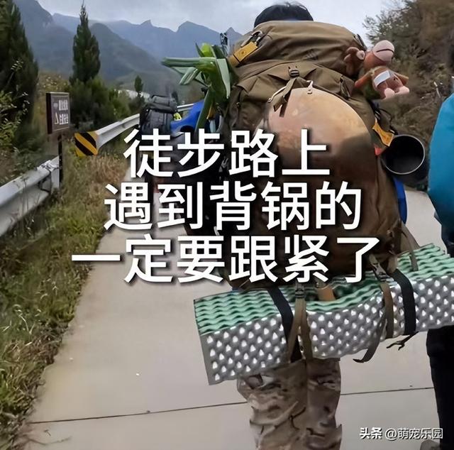 露营遇到三类人，营地大厨让我念念不忘，自然通带我上了一堂课